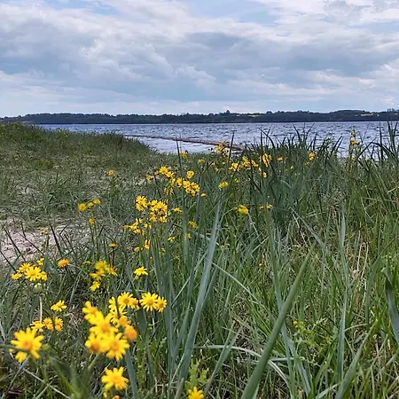 Ferienhaus 5 Star In