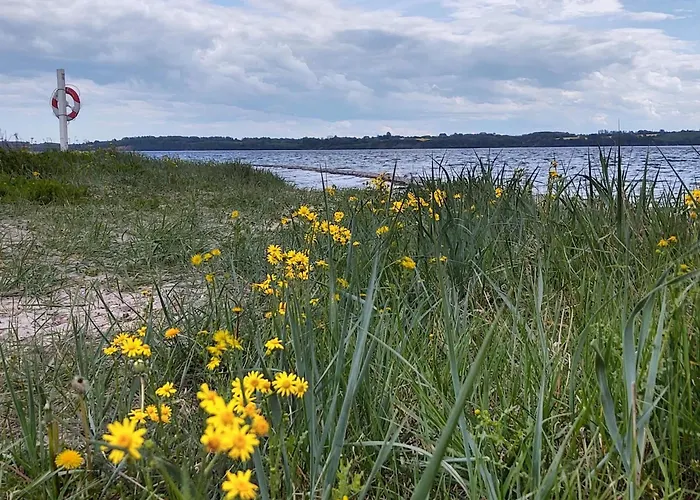 Ferienhaus 5 Star In